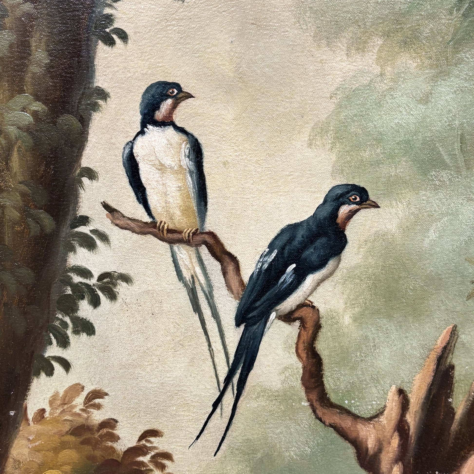 Antico Dipinto Naturalistico XIX secolo - Vassallo Antiques Antiquariato Online