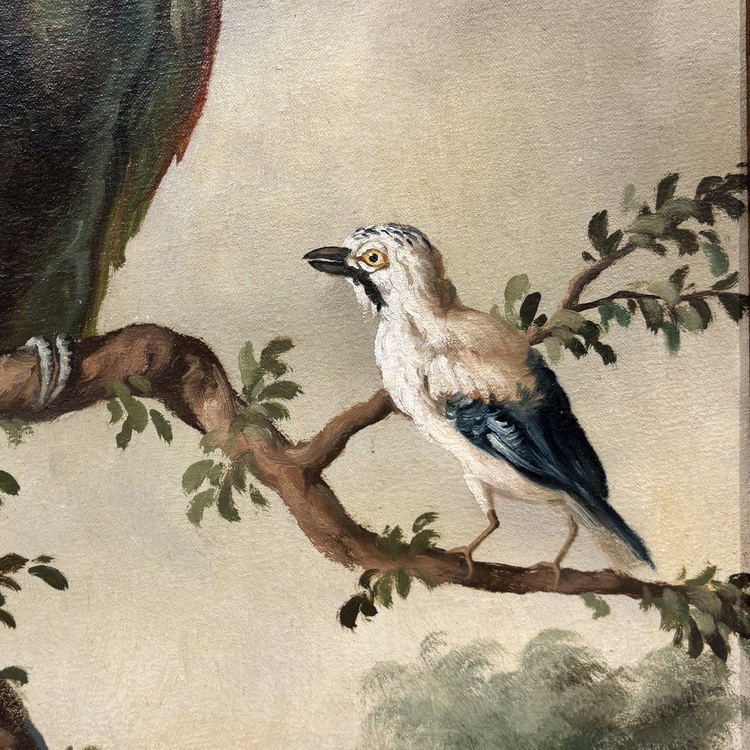 Antico Dipinto Naturalistico XIX secolo - Vassallo Antiques Antiquariato Online