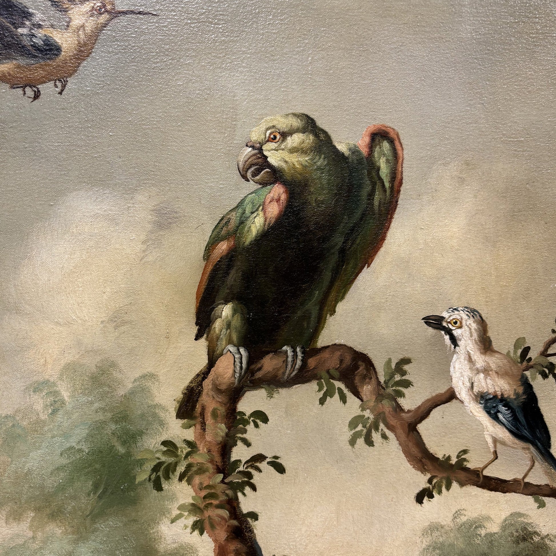 Antico Dipinto Naturalistico XIX secolo - Vassallo Antiques Antiquariato Online