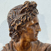Busto di Apollo in terracotta patinata – scultura in stile neoclassico
