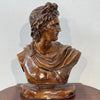 Busto di Apollo in terracotta patinata – scultura in stile neoclassico