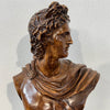 Busto di Apollo in terracotta patinata – scultura in stile neoclassico