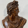 Busto di Apollo in terracotta patinata – scultura in stile neoclassico