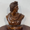 Busto di Apollo in terracotta patinata – scultura in stile neoclassico
