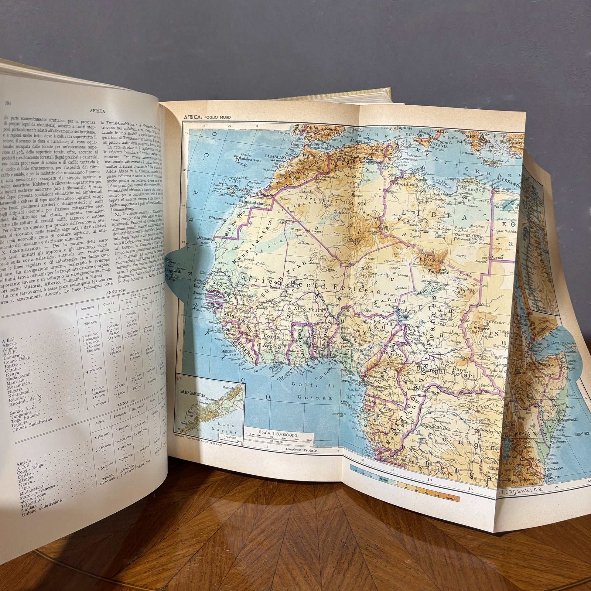 Grande Dizionario Enciclopedico - Utet - 1954 - Vassallo Antiques Antiquariato Online