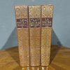 La Sacra Bibbia, SAIE Editrice 1959 - Vassallo Antiques Antiquariato Online