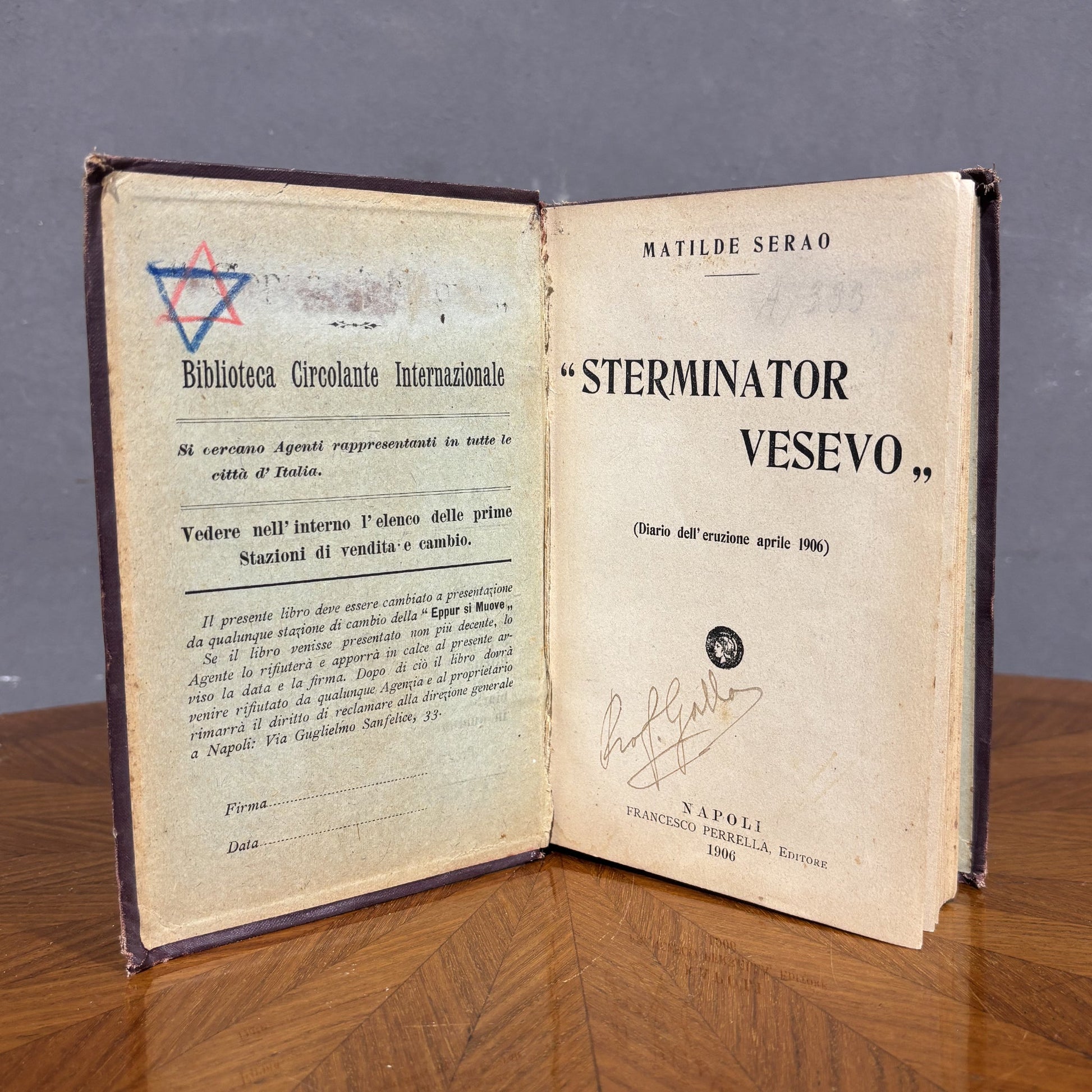 Prima Edizione libro "Sterminator Vesevo" Matilde Serao 1906 - Vassallo Antiques Antiquariato Online