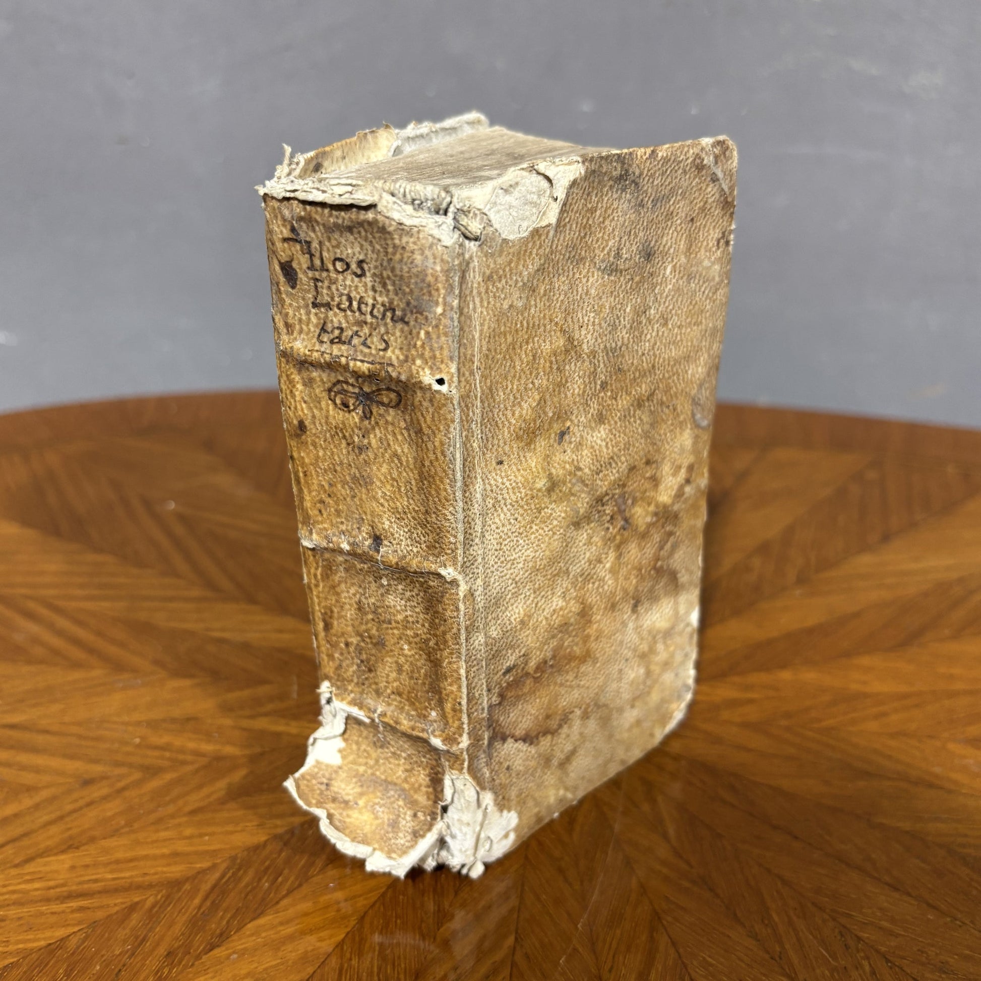Testo antico dal titolo "Flos Latinitatis", stampato a Venezia nel 1687 - Vassallo Antiques Antiquariato Online